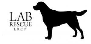 LRCP and Fairfax Animal Hospital 