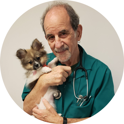 Dr Goldfarb with Small Dog